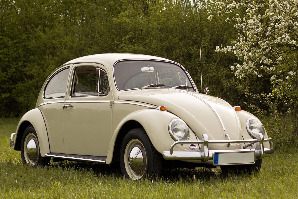 Alter VW Käfer auf einer Wiese vor einem Wald